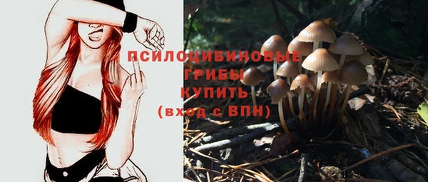 синтетический гашиш Осинники