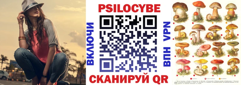 Псилоцибиновые грибы мицелий  где можно купить   Туапсе 